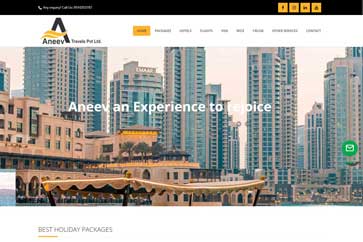 Dynamic Wordpress Website Designing for Aneev Travels- Kondhwa, Pune