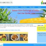 Website Designing for CornClub Hadapsar Pune