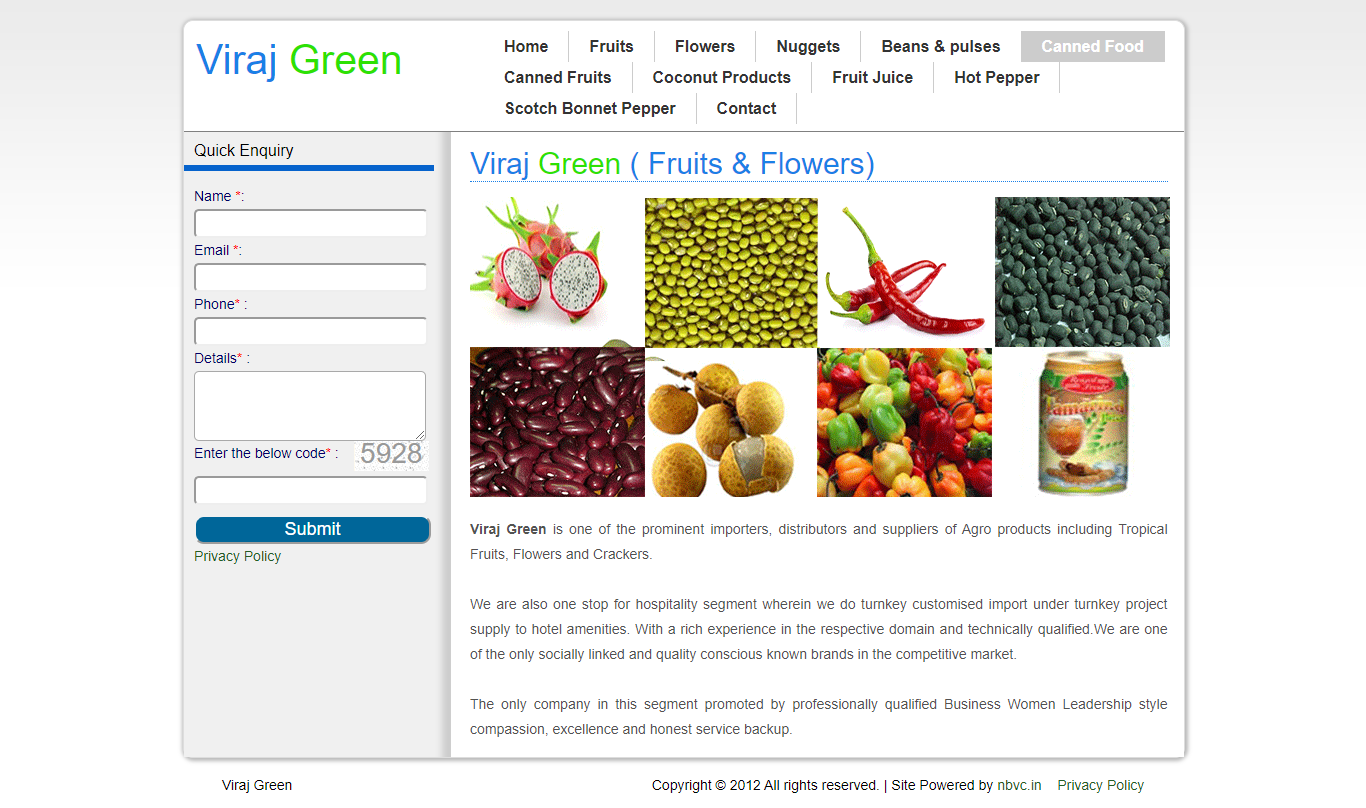 Website Designing for Viraj Greens Erandawne, Pune